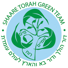 Green Team logo