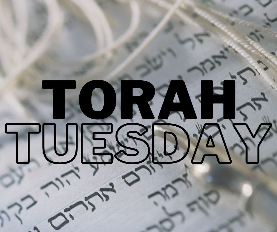 Torah Tuesday