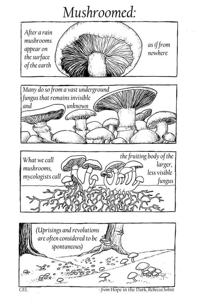 Mushroom webgraphic