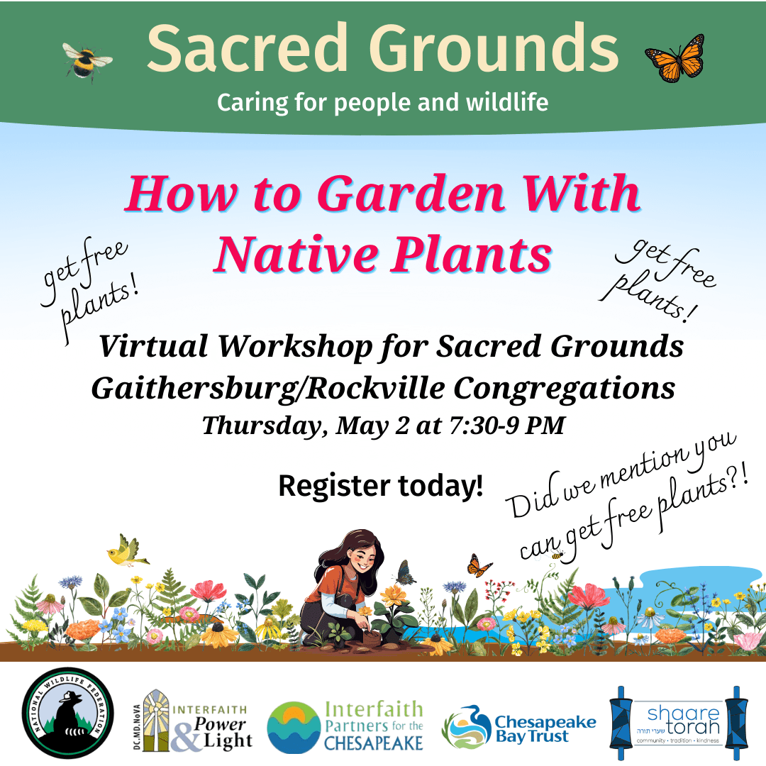 How to garden with native plants, May 2