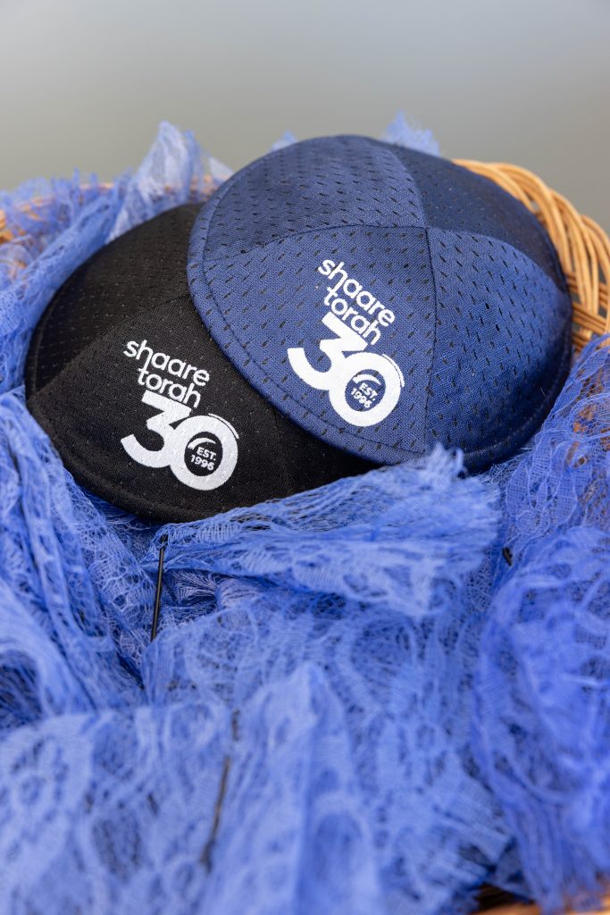 30th Anniversary Rabbi David Installation-145