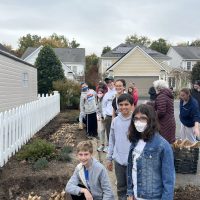 6th grade planting daffodils