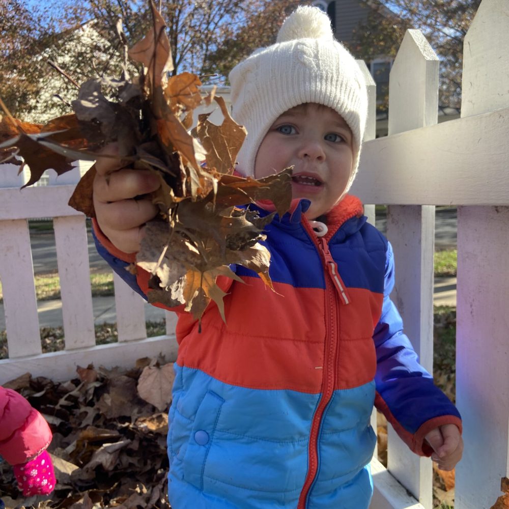 preschool child outside collecting leaves