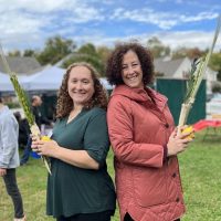 sukkot